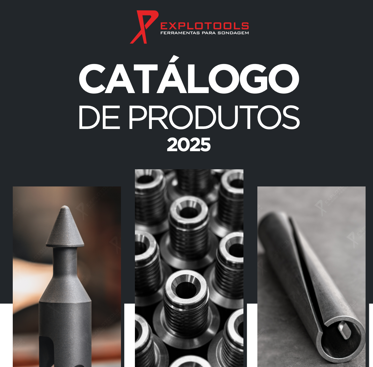 Baixar Catálogo